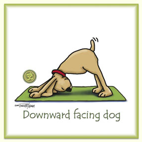 Yoga - Downward Facing Dog